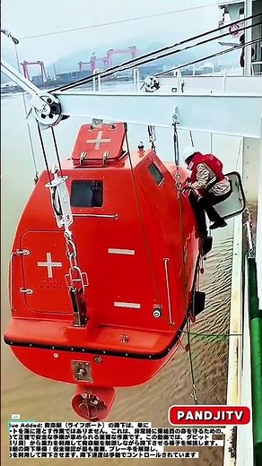 船乗りしか知らない世界！救命艇はどうやって海に降りるのか？🌊 #shorts#ship #sealife #maritime #engineering #automobile