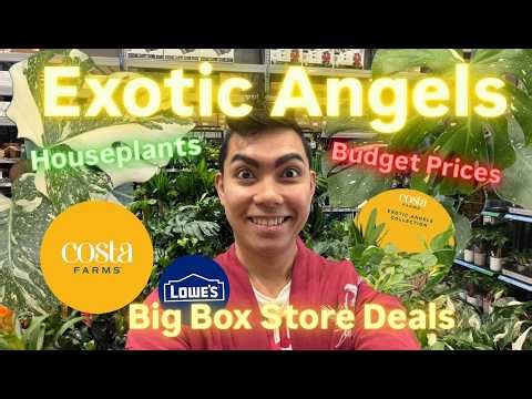 BEST DEAL EVER?! 😱 New Celina, Texas Big Box Store Plant Shopping Tour! | Spring 202 Costa Farms