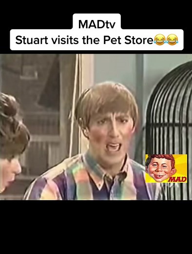 Stuart visits the pet store 😂#madtv #madtvstuart #madtvskits #😂 #bloopers #outtakes #trendingvideo #teamkil2022 #meme #dankmemes #follow #humor #iykyk #iykoongchallenge #dontlaughchallenge #🤣