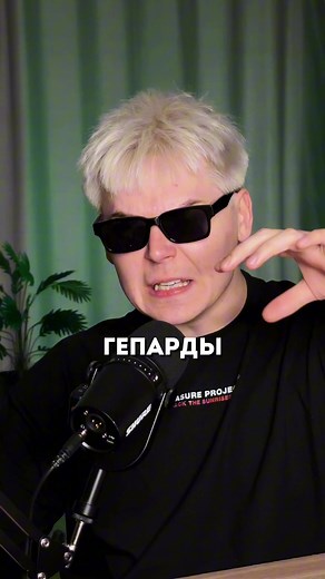 #сх #streamhub #стримхаб #подкаст