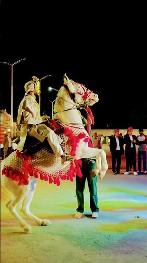 Rajasthani wedding horse dance beautiful
