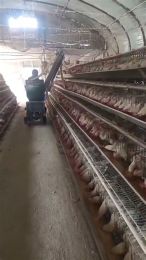 Semi automatic feeding machine for manual chicken cage