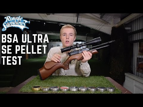 BSA Ultra SE Air Rifle & Pellet Test | Ronnie Sunshines