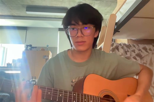 this is one of my fav songs eve. vincent- don mclean #vincent #cover | Cover