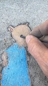 213K views · 10K reactions | The emergence of Nadine, tree-shaded and checking her map: | David Zinn | Facebook