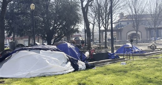 Homeless camps in Downtown Chico City Plaza raises concerns