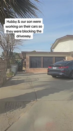 Enclosed Mobility Scooter: A Cute Solution for Tight Spaces