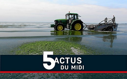 Algues vertes en Bretagne, plainte de L214, menaces russes : le point à la mi-journée | Le Télégramme
