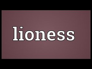 Lioness Meaning