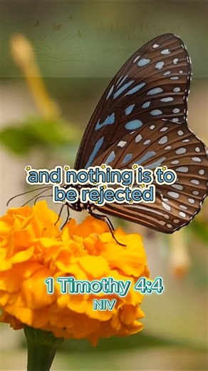 Verse for the Day November 24, 2025 1 Timothy 4:4 For everything God created is good, and nothing is to be rejected if it is received with thanksgiving, What does 1 Timothy 4:4 really mean? 1 Timothy 4:4 is about emphasizing that everything God created is good, and nothing is to be rejected if it is received with thanksgiving. https://godsbless.ing/commentary/1-timothy/1_timothy_4_4/ #bibleverse #bible #jesus #christian #god #jesuschrist #faith #biblestudy #godisgood #biblequotes #love #scriptur