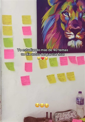 Estudiar 40 temas un día antes del parcial: cómo sobrevivir