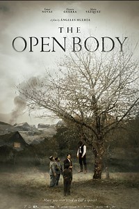Stream The Open Body (2022): Find it on Netflix, Prime Video, Hulu & more