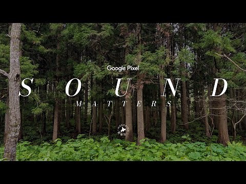 Pixel Sound Matters: Wild Hokkaido