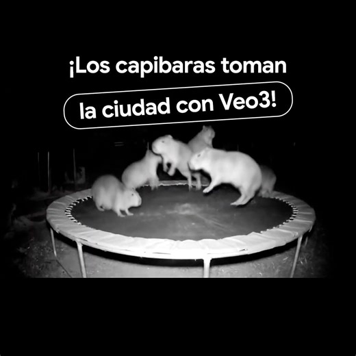 ¿Hacer videos de capibaras pasándola genial en la noche? 🦫🦫 Con Gemini, la IA de Google, sí es posible, crea cualquier cosa que te imagines con Veo y deja que tu creatividad vuele. Comenta Gemini el animal con el que crearías videos. | Google