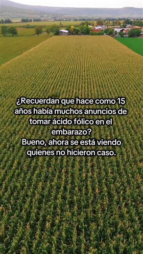 The Importance of Folic Acid During Pregnancy