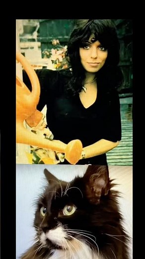 Master Gable Presents Shocking Blue's "California Here I Come" =^.,.^= ❤️ #cat #music #shockingblue