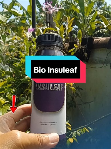 Bio Insuleaf: The Original Herbal Solution