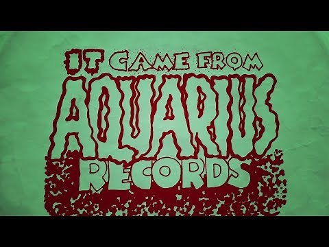 What I Learned From Aquarius Records, A Record Store For Big Ears