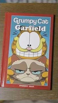 There was a Garfield / Grumpy Cat crossover???