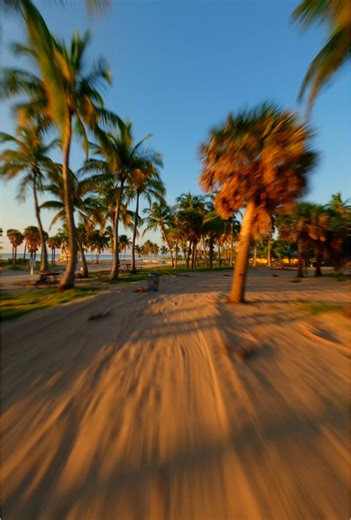 chase a golden hour #drone #fpvdrone #fpv #drones #dronelife #fyp #fpvfreestyle #dronevideo #dronefly