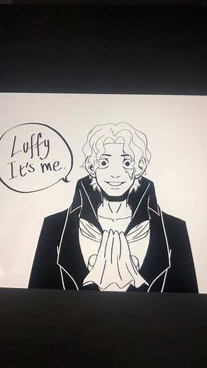 Understanding Loss and Grief in One Piece