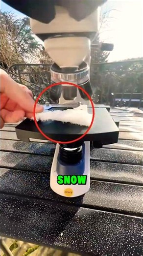 Snow Under a Microscope Looks Absolutely Unreal 🤯 #viralvideo