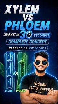 ⚡ Xylem vs Phloem in 30 Seconds! 🌱 | Class 10 TS SSC Biology | By Suhel Sir #shorts #vedantu