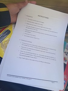 Grade 8 Mathematics Term 3 Project Instructions1. Appearance... | Filo