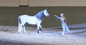 Woman Reaches Her Arm To Horse But It’s Horse’s Move Making Everybody’s Eyes Bulge