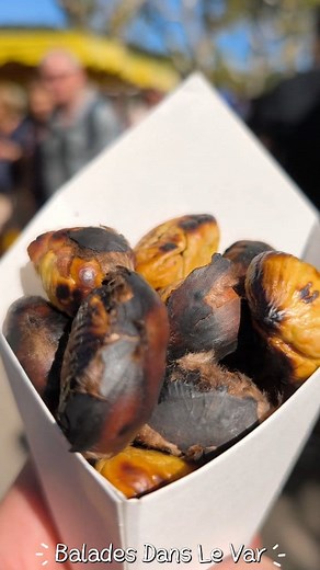 Une très belle journée avec Le Var dans le beau village de Collobrières avec la fête de la châtaigne 🌰 Une fête au top 👌 Bravo pour l'organisation Et merci aussi à la Protection Civile du Var Présente sur beaucoup de fêtes dans notre beau Département du Var Retrouvez encore cette superbe fête le 19 et 26 octobre 2025 à collobrières Pour faire de belles Balades dans le Var 🌰👌 N'hésitez pas à suivre ma page 👉Julien De Furia 📷 Sabrina Coupau Carolyn Paul Le var passionnément #baladesdanslevar