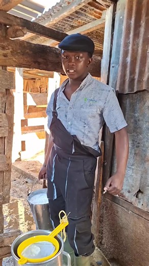 Exploring Dairy Farming at K Ziggy Farm