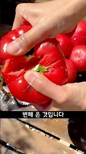 Why did tomatoes taste better back then?
