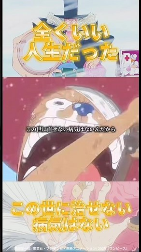 【涙腺崩壊】全くいい人生だった！#onepiece #ワンピース #チョッパー #ドクトリーヌ#ヒルルク