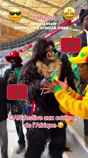 Vidéos de French&Moroccan woman human ❤️ (@frenchsmartboldwoman) avec son original - French&Moroccan woman human ❤️