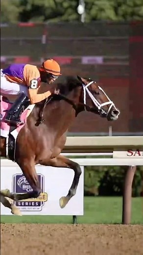 Meet Tommy Jo! Spendthrift Farm’s homebred filly that is on her way to the #BC25 Juvenile Fillies.