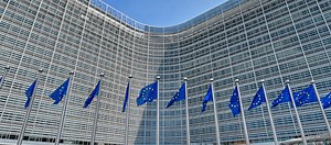 How to apply to the Blue Book traineeship programme | Portal Europeo de la Juventud