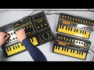 Dream Plant - EDP Wasp Synthesiser, 2 x EDP Gnat Synthesisers, and an EDP Spider Sequencer