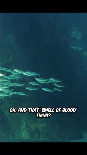 🦈 10 Shark Facts That Will Blow Your Mind! | You Won’t Believe #7 😱