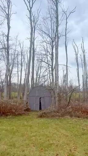 Watch our certified arborist climb with precision and remove this risky tree using full safety gear and industry-best techniques. Every cut is controlled, every step is protected because your property and our crew’s safety come first. From hazardous trees to routine removals, KD Tree Service delivers expert, reliable results every time. 📞 Need a safe tree removal? Contact us today! #KDTreeService #TreeRemoval #ArboristLife #SafeTreeWork #TreeCutting #ProfessionalTreeCare | KD Tree Service Buffa