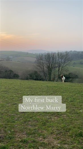 My first buck Northlew Marty, he was a lovely boy, such a gentle nature. #sunset #boergoats #buck #throwback #countryside