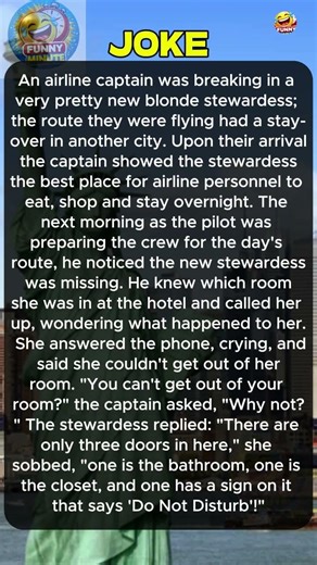 An airline captain was breaking #shortvideo #shortsviral