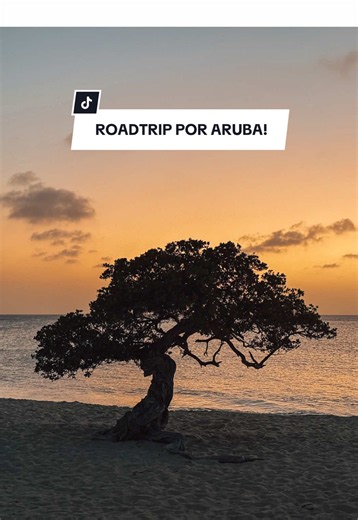 ROATRIP POR ARUBA 🇦🇼 Lo mejor es alquilar auto en el aeropuerto.. Si queres INFO comentame que te paso 😎 Es muy fácil recorrer Aruba, muy directo todo y con estacionamiento gratuoto en cada atractivo y playa. Lo que sí, NO HAY SEMÁFOROS, solo rotondas, lo que hace que sea muy fluído manejar 🚗 Para alquilar auto te piden licencia vigente y un depósito. Y bueno, de paso te dejo todo lo que podes hacer modo roadtrip por la isla: • Tres Trapi y Boca Catalina • Eagle Beach, Manchebo Beach y Divi
