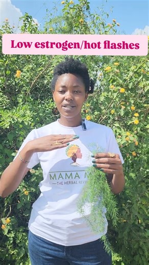 POI, primary ovarian Insufficiency we have herbs that helps Shatavari Root 0113801118 | Umai Naturals