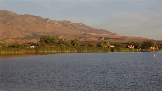 A morning symphony at Roper Lake State Park! 🌅🎶 Take a moment to listen to the sweet melodies of nature. There are three common bird calls that are easy to identify among the others in this video, including the "coo-coo woo woo woo" of the white-winged dove, the shrill "conk-la-reeee" of the red-winged blackbird, and the short "chip" calls of a grackle. Remember to pick up a bird checklist from a ranger when visiting our parks! 🦆🕊️ | Arizona State Parks