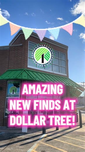 Exciting New Products at Dollar Tree Uncovered