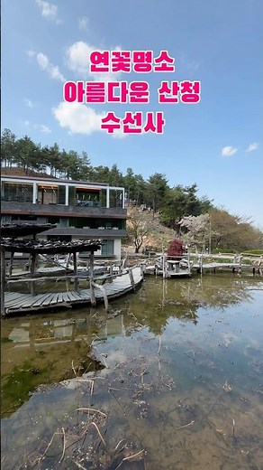 산청,연꽃명소수선사#템플스테이,수선사카페,여름이 이쁜 절#수십년의 울력과 공덕으로 조성한 아름다운 수선사