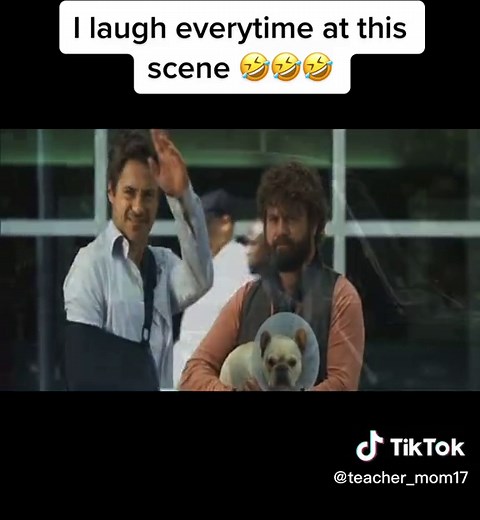 Hilarious Due Date Movie Scene with Robert Downey Jr and Zach Galifianakis