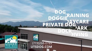 163 reactions · 15 shares |  Welcome to a Paws-itively Perfect Day...