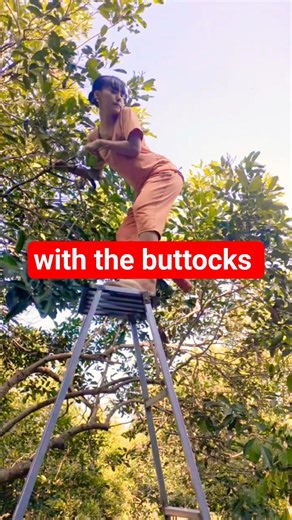 Part 3409 Laughing Tears [ Khaby Nguyên]