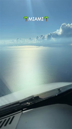 Miami Florida Airbus A320 NEO Landing Experience